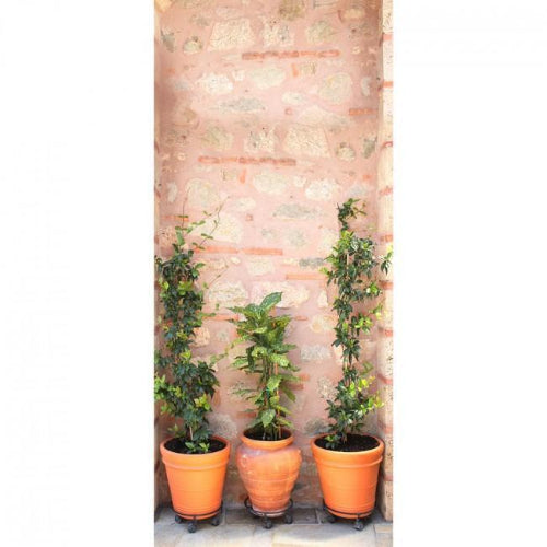 Betterliving Door Mural Pot Plants